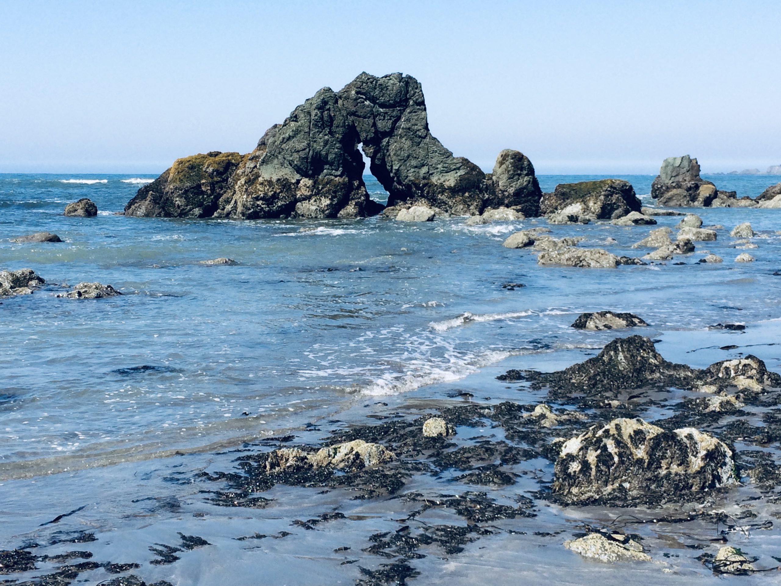 Spectacular photo of rocky ocean shore near Pacific Edge