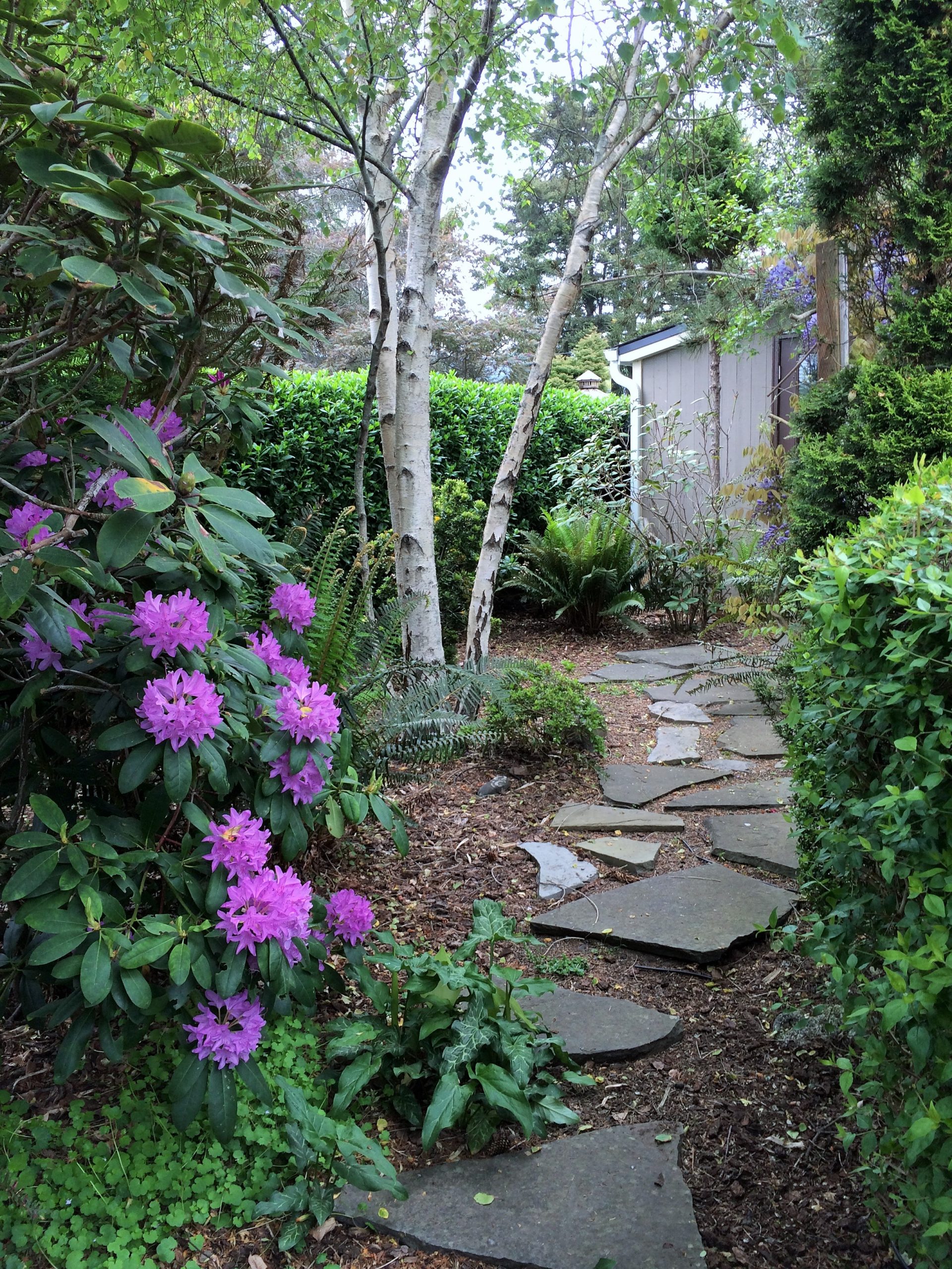 Photo of stone path in the yard at Pacific Edge