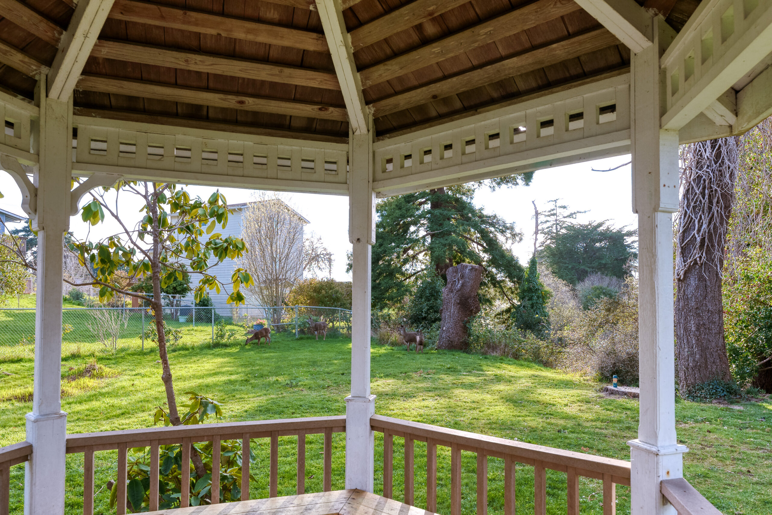 Gazebo and green lawn at Coastal Cozy Townhome